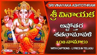 శ్రీ వినాయక అష్టోత్తర శతనామావళి